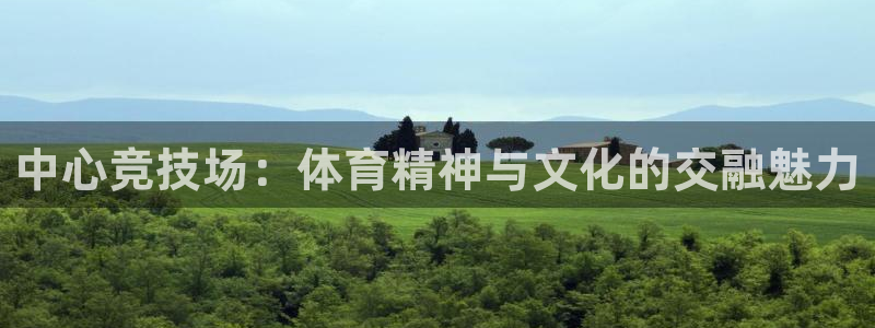 鼎天国际拍卖有限公司是不是正规的