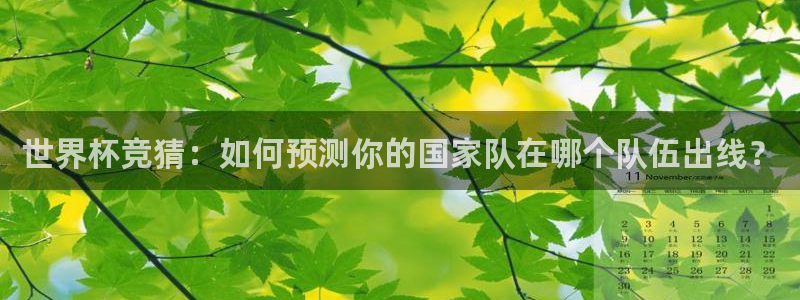 鼎天国际入口