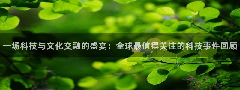 鼎天国际