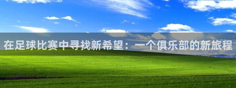 鼎天国际代理